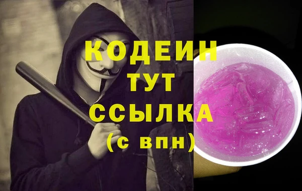 молекула духа Бронницы