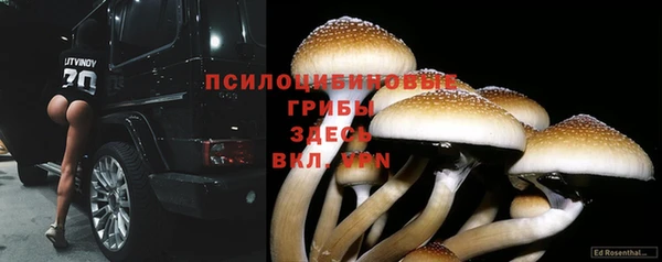 кокаин колумбия Бородино