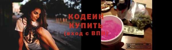 молекула духа Бронницы