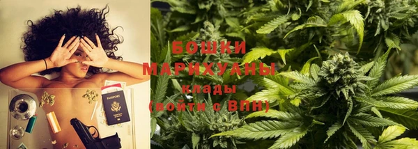 молекула духа Бронницы