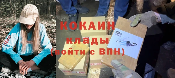 молекула духа Бронницы