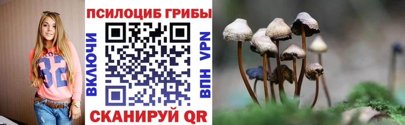 Галлюциногенные грибы GOLDEN TEACHER  Купить  Жердевка 